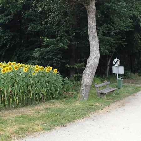 Ferienhaus Miklavic Prázdninový dům